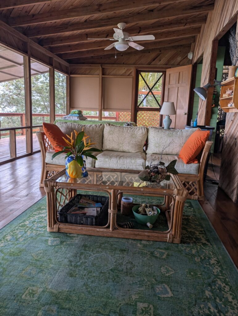 living room no clothesline
